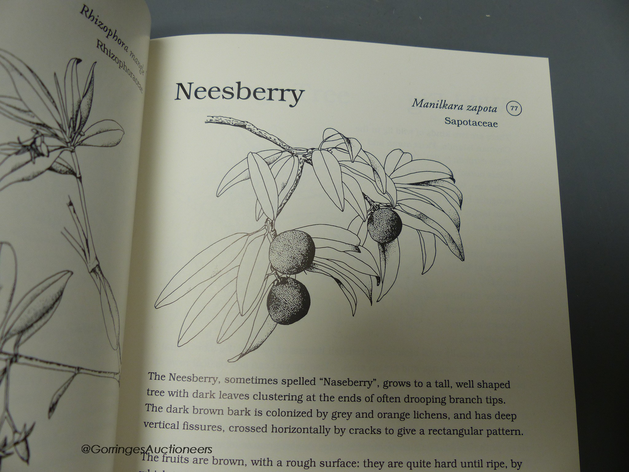 Burton, Fred - Wild Trees in the Cayman Islands, illustrated by Penny Clifford, 1st edition, one of 1000, 8vo, paperback, National Trust for the Cayman Islands, 1997